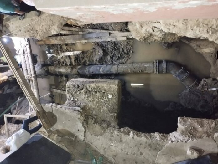 IMG_٢٠٢٥١٠٢٧_١٣٣٩٣٣